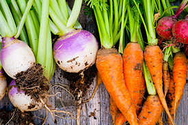 Dubbo Farmers Market